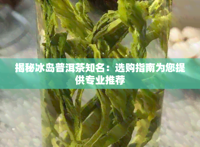 揭秘冰岛普洱茶知名：选购指南为您提供专业推荐