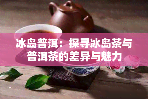 冰岛普洱：探寻冰岛茶与普洱茶的差异与魅力