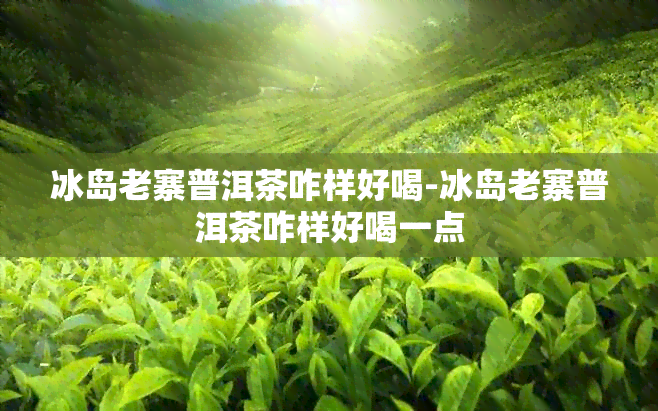 冰岛老寨普洱茶咋样好喝-冰岛老寨普洱茶咋样好喝一点