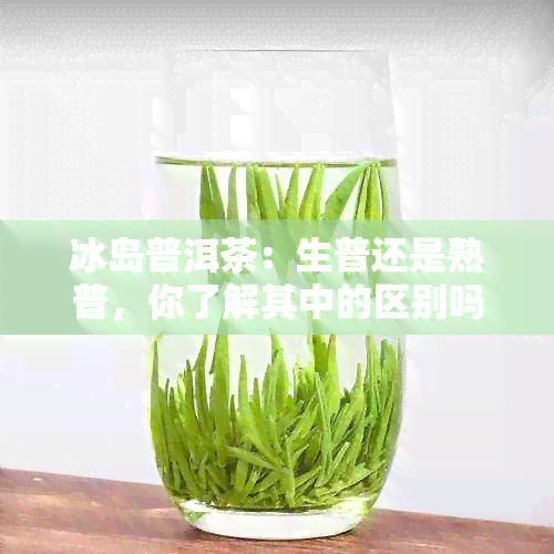 冰岛普洱茶：生普还是熟普，你了解其中的区别吗？