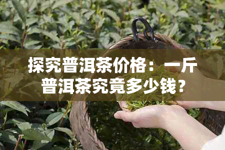 探究普洱茶价格：一斤普洱茶究竟多少钱？