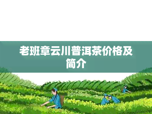 老班章云川普洱茶价格及简介