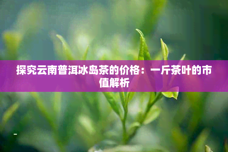 探究云南普洱冰岛茶的价格：一斤茶叶的市值解析