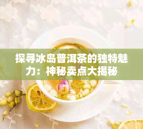 探寻冰岛普洱茶的独特魅力：神秘卖点大揭秘