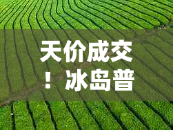 天价成交！冰岛普洱茶拍卖震惊业界，价值高达88万元