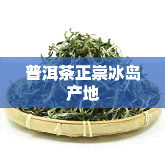 普洱茶正崇冰岛产地