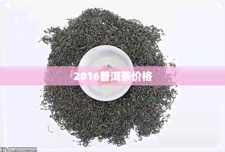 2016普洱茶价格