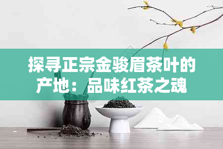 探寻正宗金骏眉茶叶的产地：品味红茶之魂