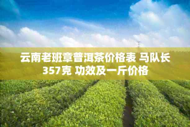 云南老班章普洱茶价格表 马队长357克 功效及一斤价格