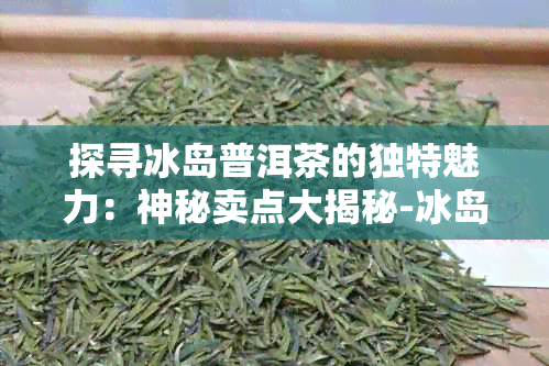 探寻冰岛普洱茶的独特魅力：神秘卖点大揭秘-冰岛普洱茶特点口感