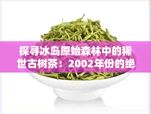 探寻冰岛原始森林中的稀世古树茶：2002年份的绝妙滋味