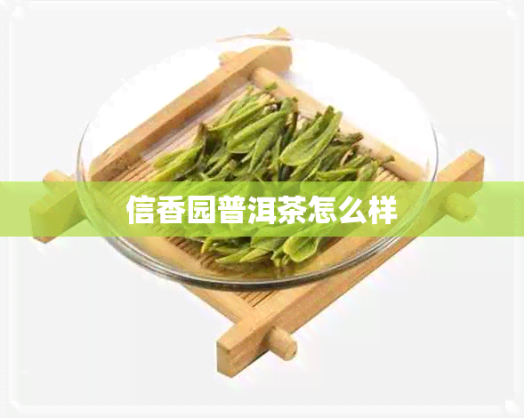 信香园普洱茶怎么样