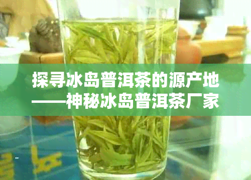 探寻冰岛普洱茶的源产地——神秘冰岛普洱茶厂家揭秘