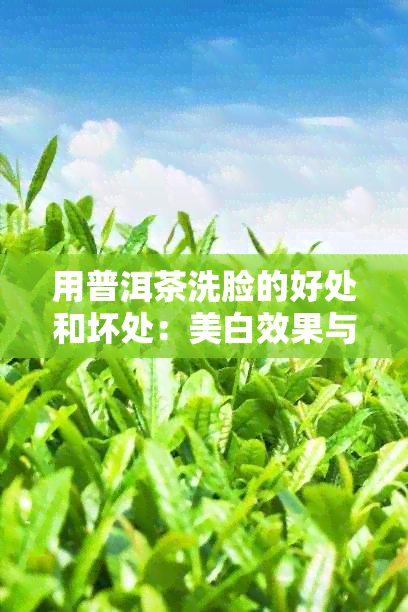 用普洱茶洗脸的好处和坏处：美白效果与肌肤护理探究