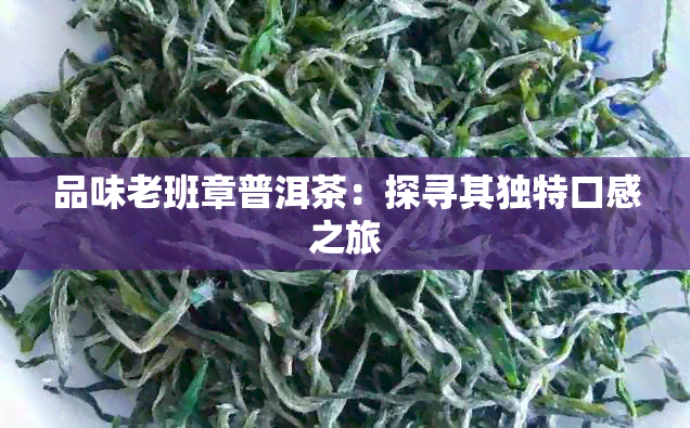 品味老班章普洱茶：探寻其独特口感之旅