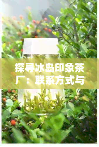 探寻冰岛印象茶厂：联系方式与心灵之窗