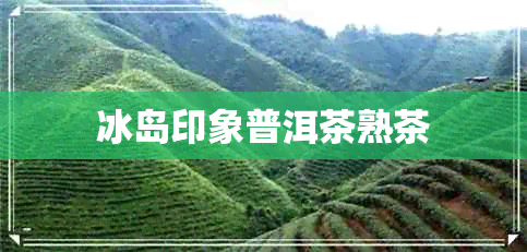 冰岛印象普洱茶熟茶