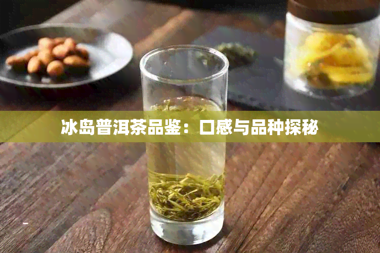 冰岛普洱茶品鉴：口感与品种探秘