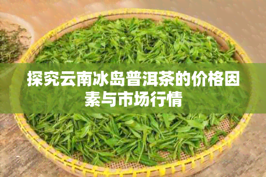 探究云南冰岛普洱茶的价格因素与市场行情