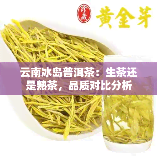 云南冰岛普洱茶：生茶还是熟茶，品质对比分析