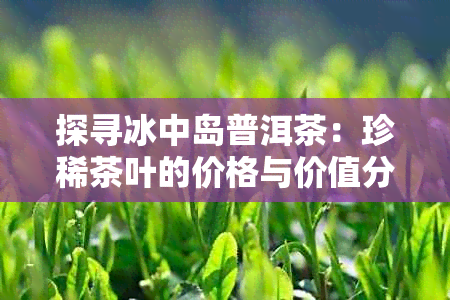 探寻冰中岛普洱茶：珍稀茶叶的价格与价值分析