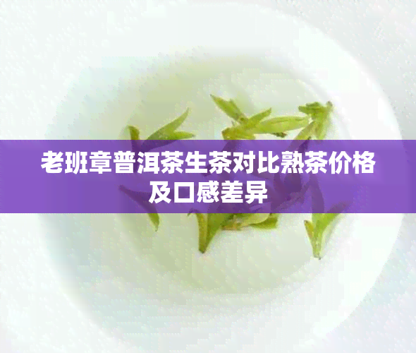 老班章普洱茶生茶对比熟茶价格及口感差异