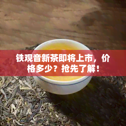 铁观音新茶即将上市，价格多少？抢先了解！