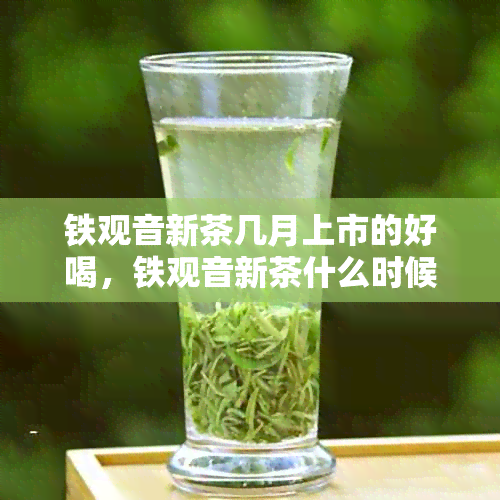 铁观音新茶几月上市的好喝，铁观音新茶什么时候出