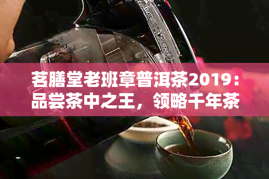 茗膳堂老班章普洱茶2019：品尝茶中之王，领略千年茶韵