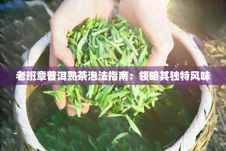 老班章普洱熟茶泡法指南：领略其独特风味