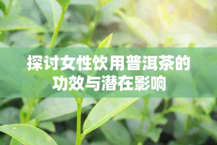 探讨女性饮用普洱茶的功效与潜在影响