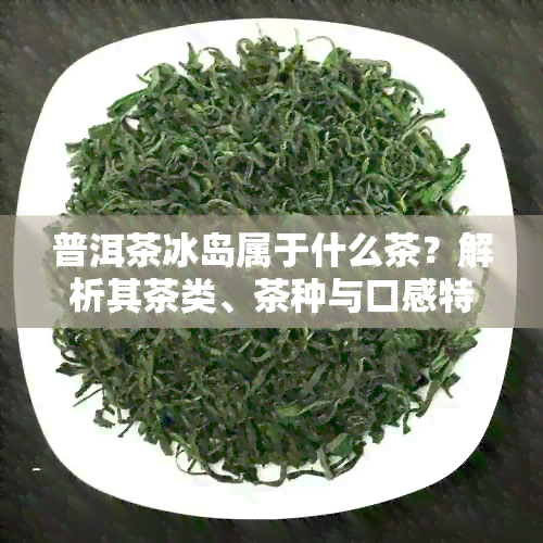 普洱茶冰岛属于什么茶？解析其茶类、茶种与口感特点