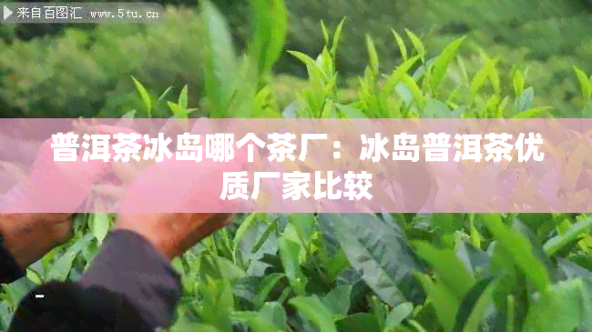 普洱茶冰岛哪个茶厂：冰岛普洱茶优质厂家比较