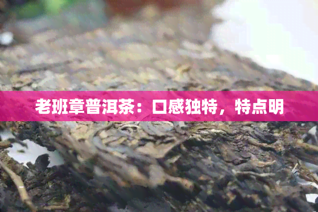 老班章普洱茶：口感独特，特点明