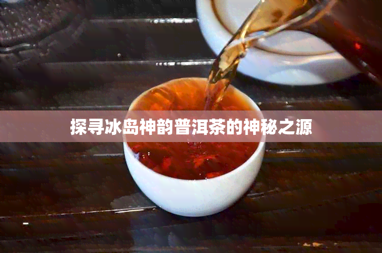 探寻冰岛神韵普洱茶的神秘之源