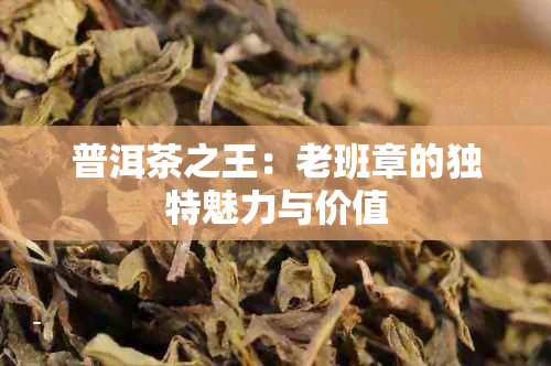 普洱茶之王：老班章的独特魅力与价值