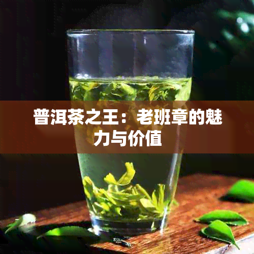 普洱茶之王：老班章的魅力与价值