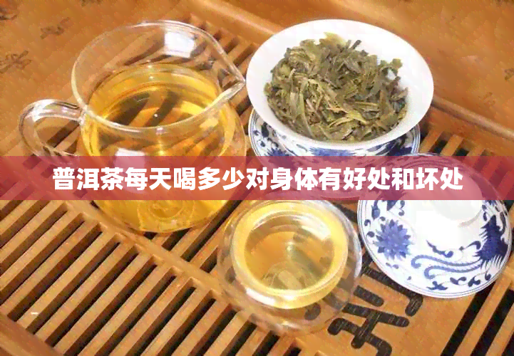 普洱茶每天喝多少对身体有好处和坏处