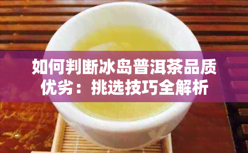 如何判断冰岛普洱茶品质优劣：挑选技巧全解析