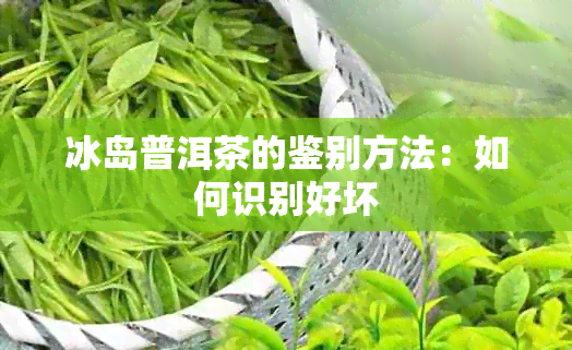 冰岛普洱茶的鉴别方法：如何识别好坏