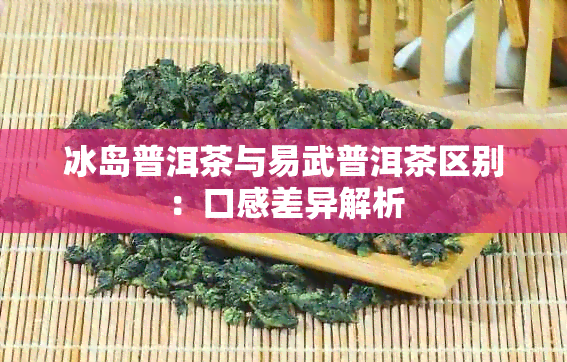 冰岛普洱茶与易武普洱茶区别：口感差异解析