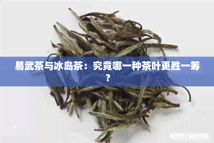 易武茶与冰岛茶：究竟哪一种茶叶更胜一筹？