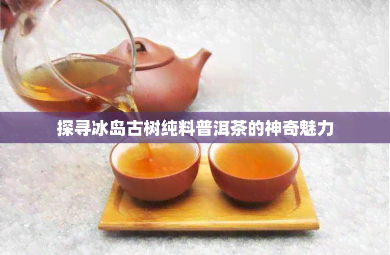 探寻冰岛古树纯料普洱茶的神奇魅力