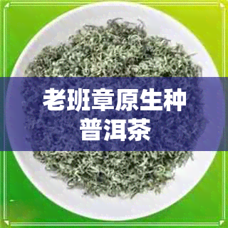 老班章原生种普洱茶