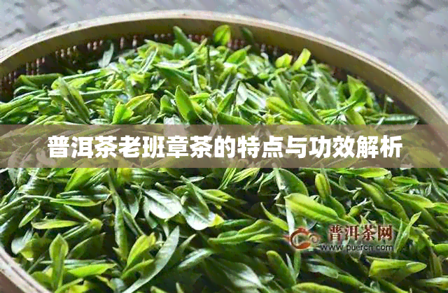 普洱茶老班章茶的特点与功效解析