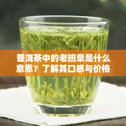 普洱茶中的老班章是什么意思？了解其口感与价格特点