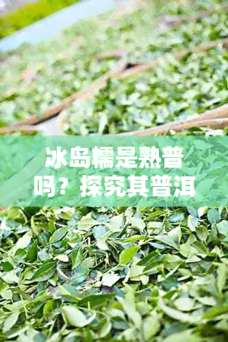 冰岛糯是熟普吗？探究其普洱茶价格与独特茶质