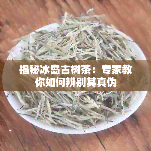 揭秘冰岛古树茶：专家教你如何辨别其真伪