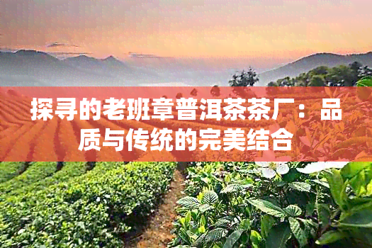 探寻的老班章普洱茶茶厂：品质与传统的完美结合