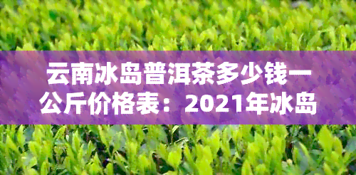 云南冰岛普洱茶多少钱一公斤价格表：2021年冰岛普洱茶价格行情